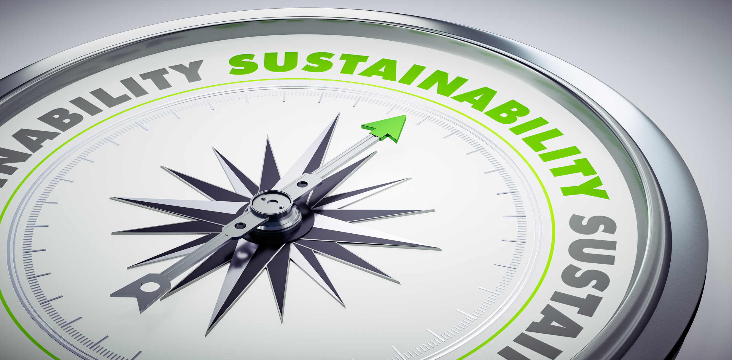 White compass sustainability